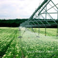 Irrigación agrícola Irrigación moderna del pivote central de la maquinaria y del equipo de la granja / irrigador que viaja